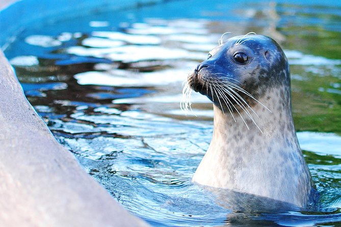 Boston Pass: 40+ Things To Do - Includes Franklin Park Zoo - How to structure your days in Boston (so you don’t burn time)